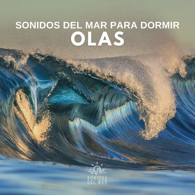 Sonidos del Mar para Dormir: Olas (06)