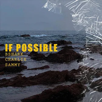 If Possible by Charlie