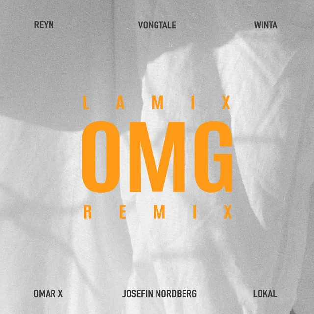 OMG (feat. Reyn, Vongtale, Winta, Josefin Nordberg, Omar X & Lokal) - Remix