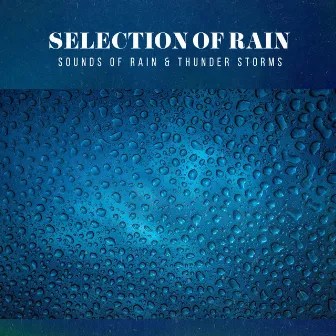 Selection of Rain by Sounds of Rain & Thunder Storms