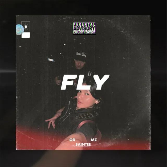 Fly