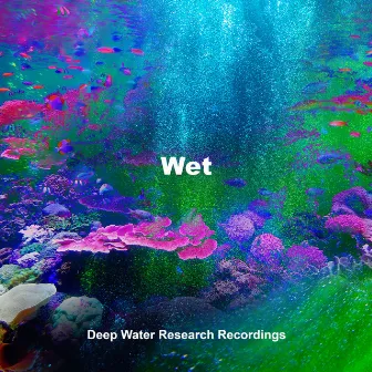 Wet by Deep Water Research Recordings