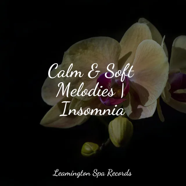 Music for Meditation and Relaxation