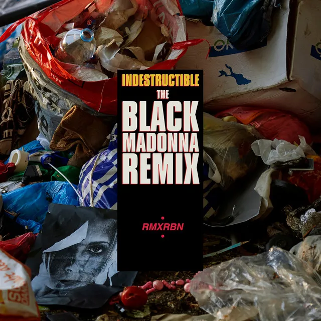 Indestructible - The Black Madonna Remix