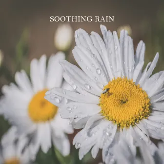 Ambient Sounds: Soothing Rain by Ambient Sounds from Beneluxa