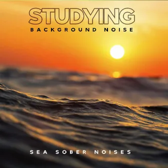 Studying Background Noise by Sea Sober Noises