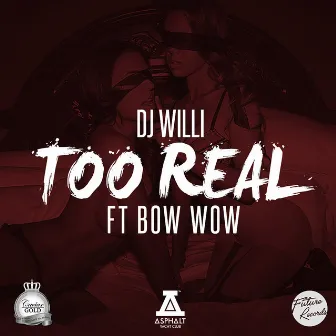 Too Real by DJ Willi