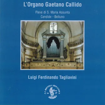 L'organo Gaetano Callido (1797 - 1799) (Pieve S. Maria Assunta, Candide, Belluno, Italy) by Luigi Ferdinando Tagliavini