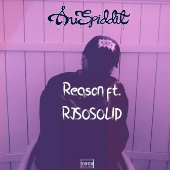 Reason by Auspiddit