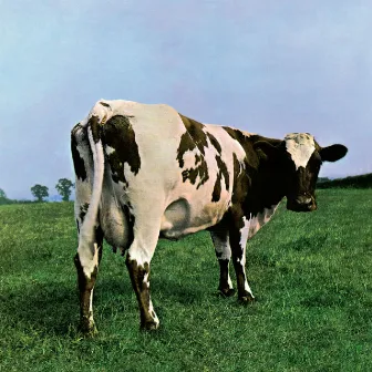 Atom Heart Mother (2011 Remastered Version) by Pink Floyd