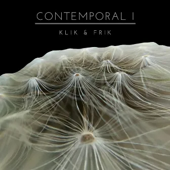 Contemporal I by Klik & Frik