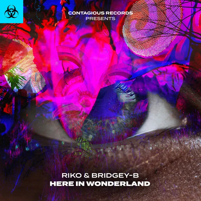 Here In Wonderland - Radio Edit