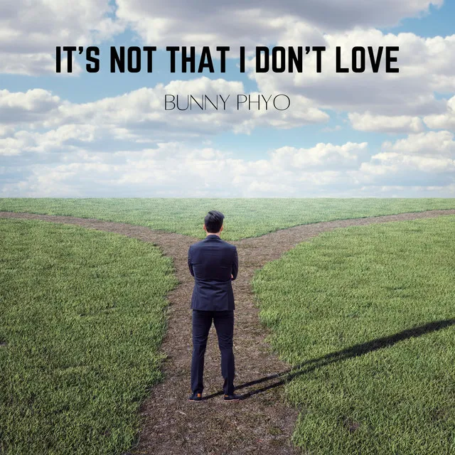 It's Not that I Don't Love