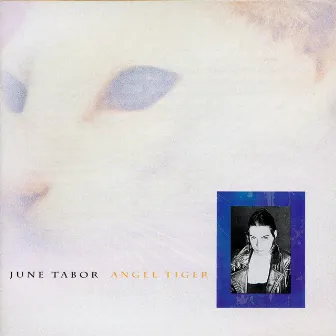 Angel Tiger by June Tabor