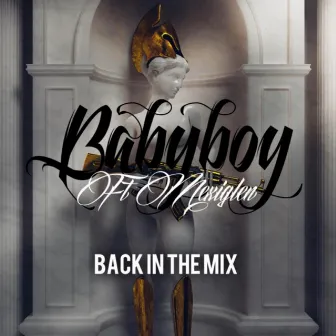 Back InThe Mix by Babyboy