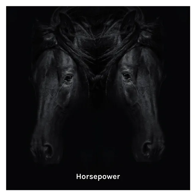 Horsepower - Chrome Mix