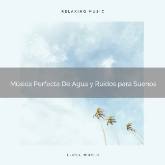 Música Perfecta De Agua y Ruidos para Suenos by Ruido Blanco