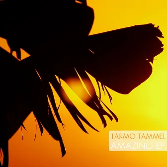 Amazing EP by Tarmo Tammel