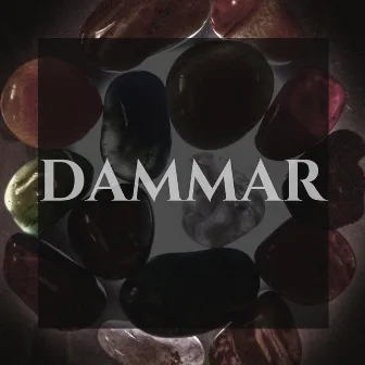 Dammar by Sergio Sotelo Rey