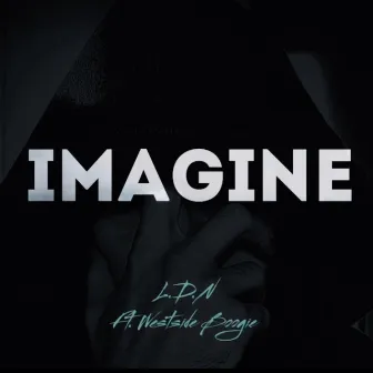 IMAGINE by L.D.N