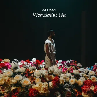 Wonderful life by Adam