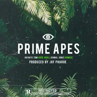 Prime Apes by The Reform