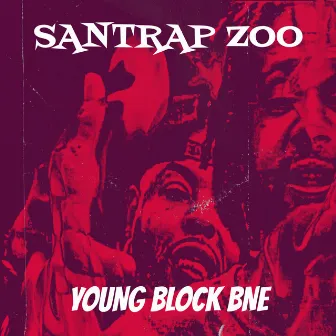 Santrap Zoo by Young Block BNE