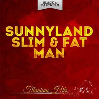 Titanium Hits by Sunnyland Slim