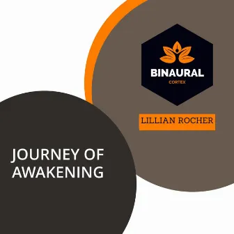 Journey of Awakening by Lillian Rocher