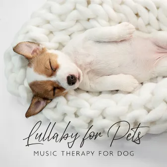 Lullaby for Pets: Music Therapy for Dog, Anti Anxiety, Inner Peace, Anxiousness, Insomnia, Gentle Sounds for Puppies by Pet Music Academy