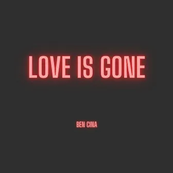 Love is Gone by Ben Cina