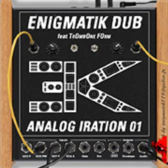 Analog Iration by Enigmatik Dub