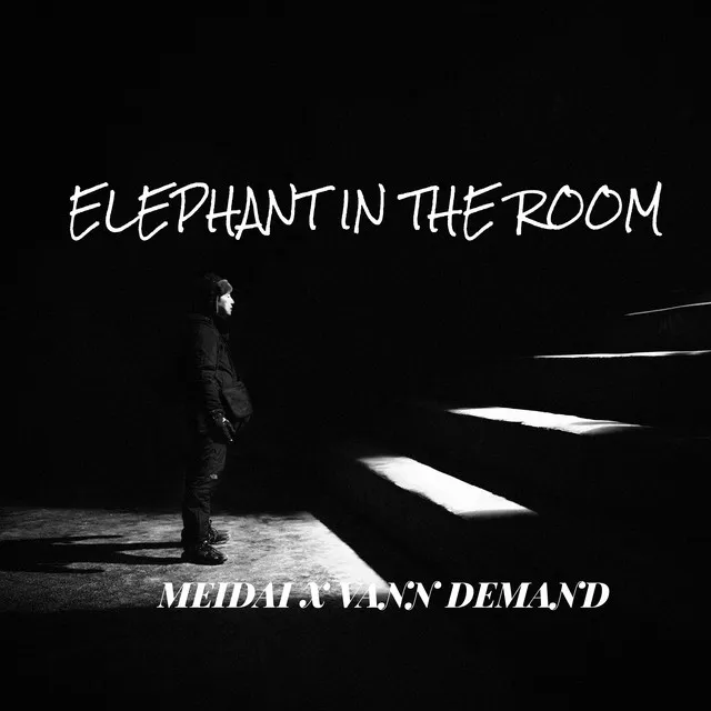 Elephant In The Room (feat. VanN Demand)