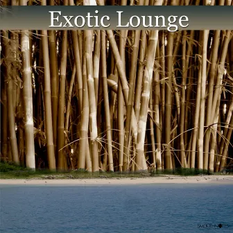 Exotic Lounge by Luna Lounge