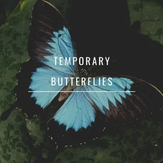 Temporary Butterflies by The Honest Poet