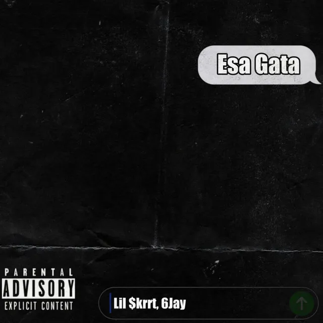 Esa Gata