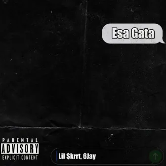 Esa Gata by 6Jay