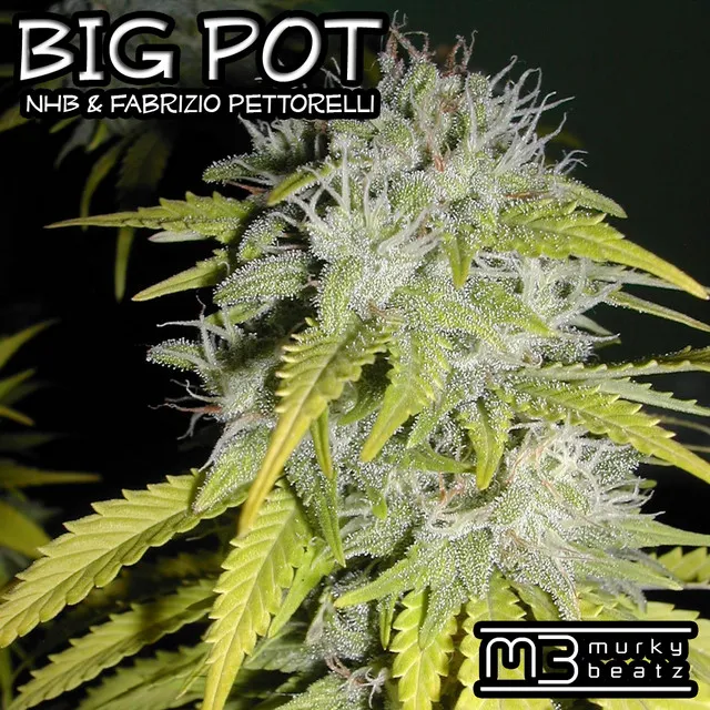 Big Pot - Frankee G Mix