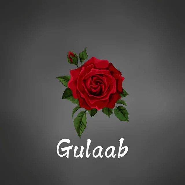 Gulaab