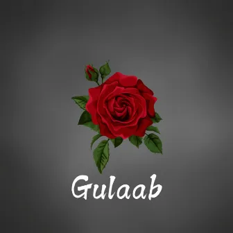 Gulaab by Ranjha