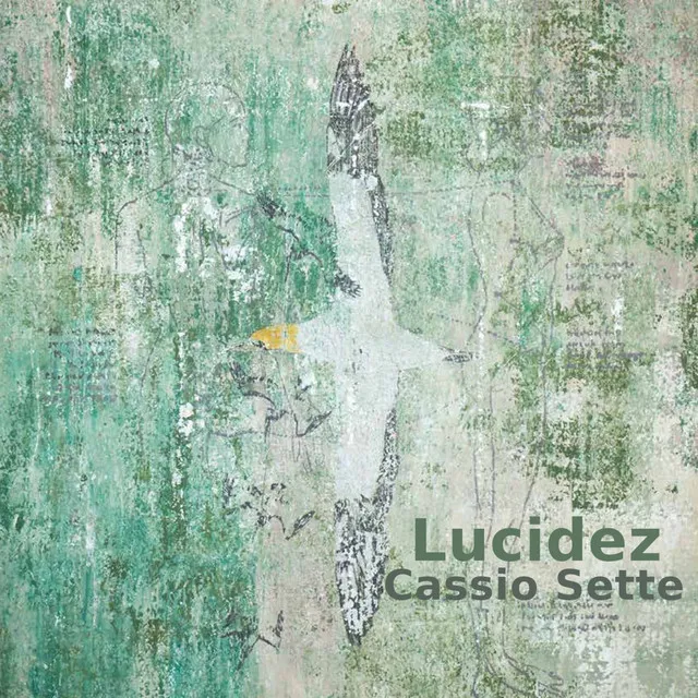 Lucidez