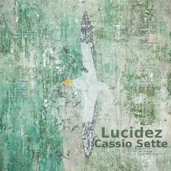 Lucidez by Walter Areia