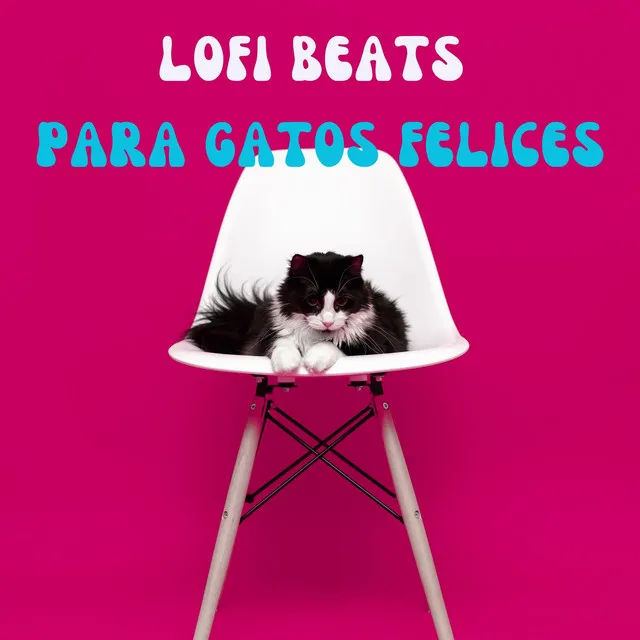 Lofi Beats Para Gatos Felices