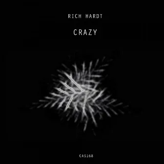 Crazy by Rich Hardt