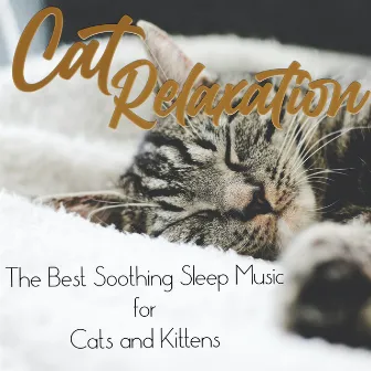 Cat Relaxation: The Best Soothing Sleep Music for Cats and Kittens by Cat Music Therapy