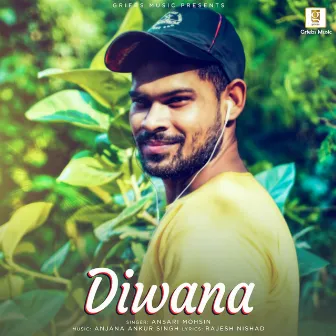 Diwana by Ansari Mohsin