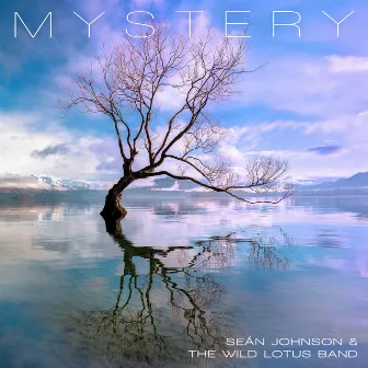 Mystery by Sean Johnson & The Wild Lotus Band