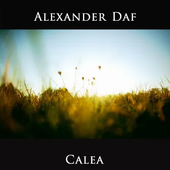 Calea by Alexander Daf