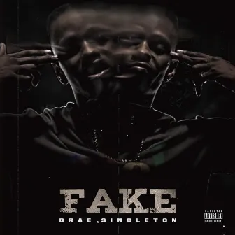 Fake by Drae Singleton