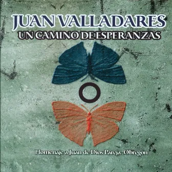 Un Camino de Esperanzas (Homenaje a Juan de Dios Pareja-Obregón) by Juan Valladares